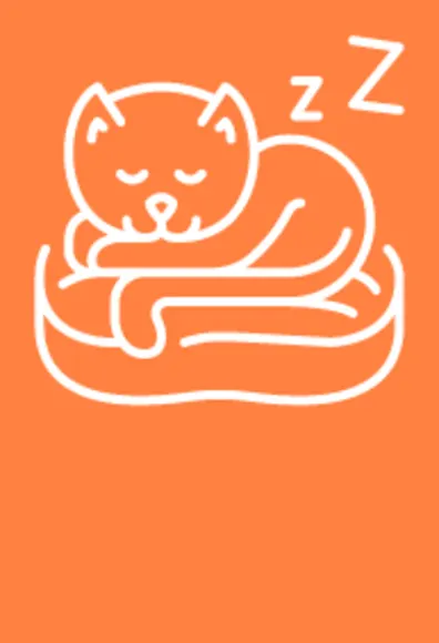 Cat on bed icon image
